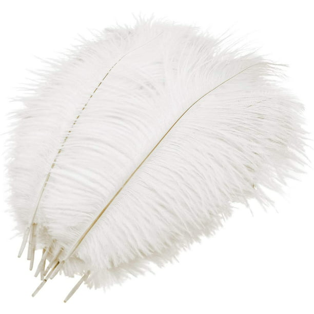 10 Pack 20-30cm Ostrich Feathers Plume Craft Centerpiece Wedding Party Decor